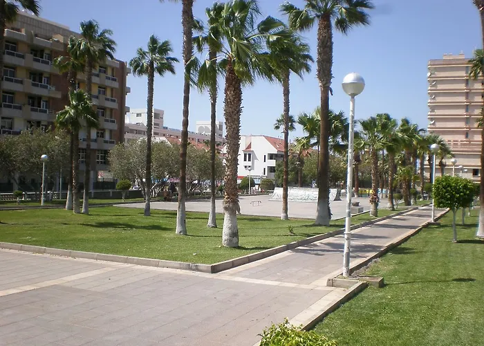 Floritas 플라야데라스아메리카스